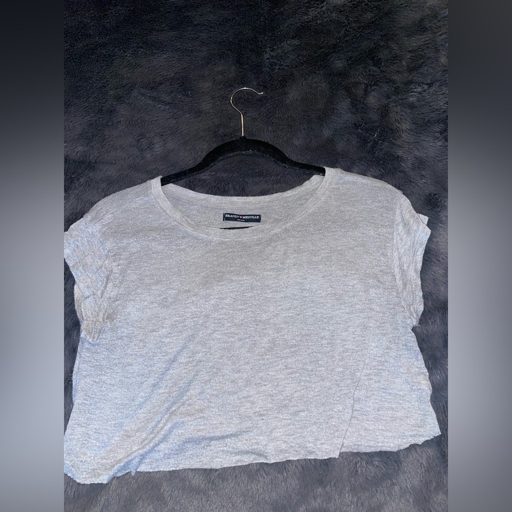 Brandy Melville Women’s Grey Crop Top